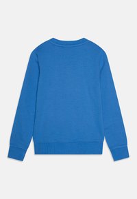 Felpa blu con colletto rotondo, polsini e orlo a costine. Il retro presenta una superficie liscia, senza motivi o dettagli aggiuntivi.