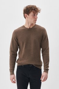 Brauner gestrickter Pullover mit Rundhalsausschnitt und langen Ärmeln, kombiniert mit schwarzen Hosen. Weiche Textur und gerippte Bündchen.