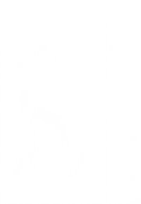 Tetera de cerámica blanca con cuerpo redondeado, pico curvado y tapa a juego. Superficie lisa, sin patrones visibles, diseño simple.