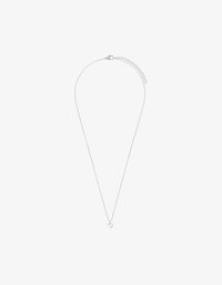 Geselecteerd, silver-coloured