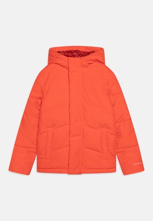 JJWORLD PUFFER - Talvejope - dragon fire