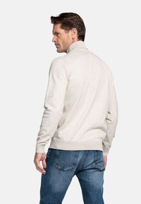 Lichtgrijze trui met hoge kraag, geribde manchetten en zoom. Draagt met donkerblauwe jeans, bekeken van achteren.