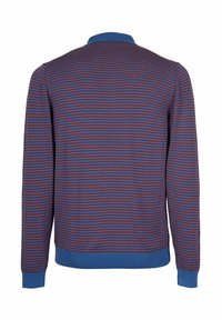 Maglione a righe in rosso scuro e blu, con texture a maglia a coste, maniche lunghe e colletto alto. Polsini e orlo blu semplici.