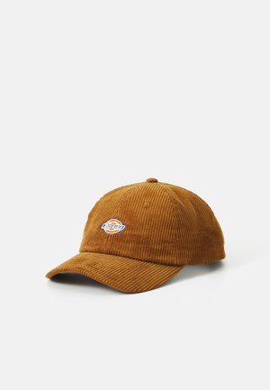 Casquette de baseball en velours côtelé marron avec une visière incurvée et un logo brodé représentant un design en arc-en-ciel. Tissu texturé avec des rayures verticales.