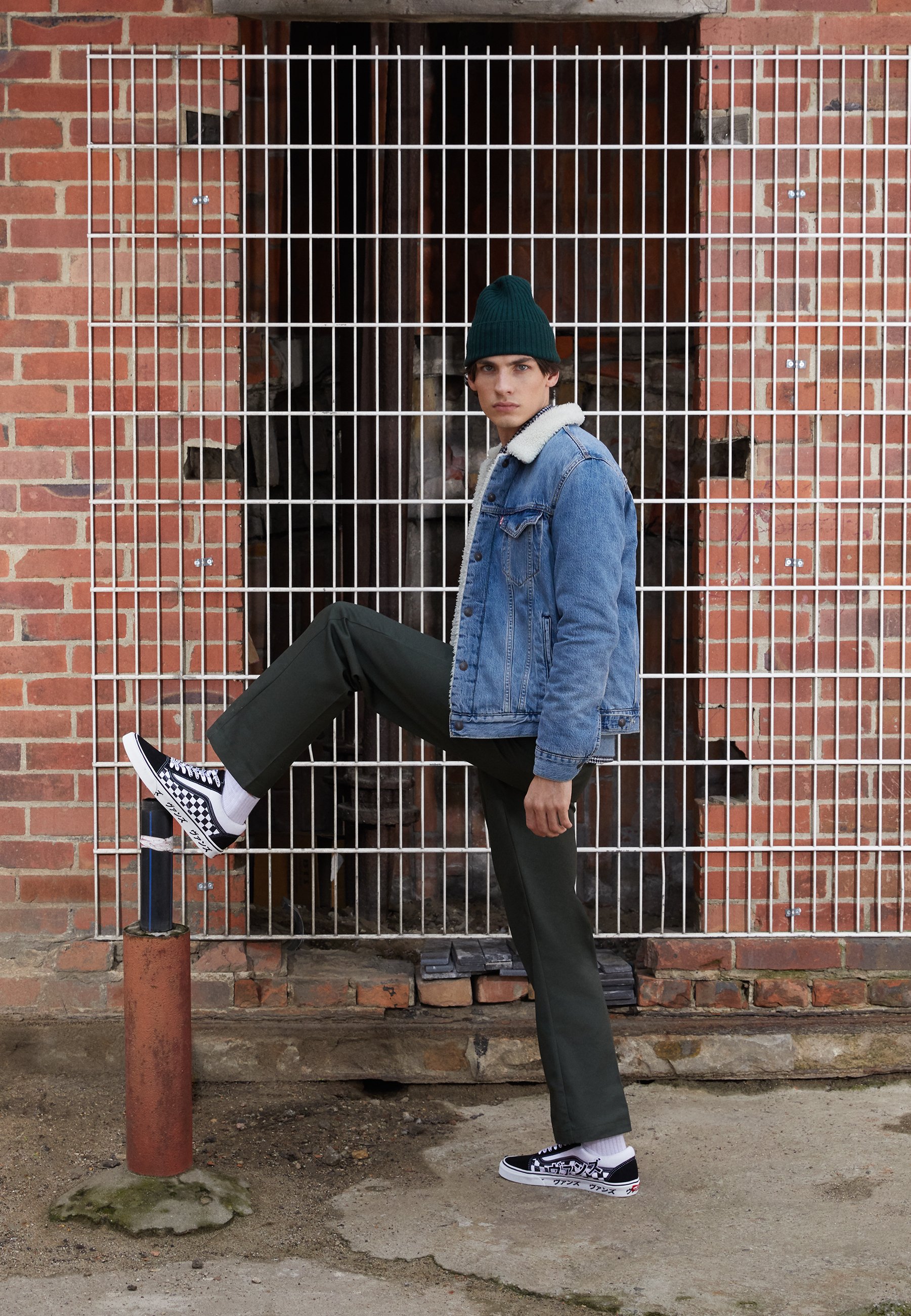 zalando vans old skool