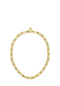 IVY MAXI CHAIN - Ogrlica - gold-coloured
