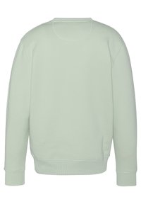 Schott RAS DU COU - Felpa - sage pastel