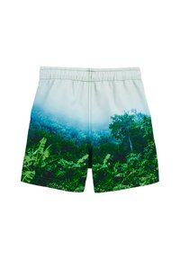 Vyrų plaukimo šortai su žaliu tropinių augalų raštu, elastingu juosmeniu ir minkšta, lengva medžiaga. Dizainas apima gradientinį efektą.