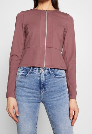 Vrouw draagt een mauve color lange mouwen zip-up top, gecombineerd met lichtblauwe high-waisted jeans tegen een effen achtergrond.