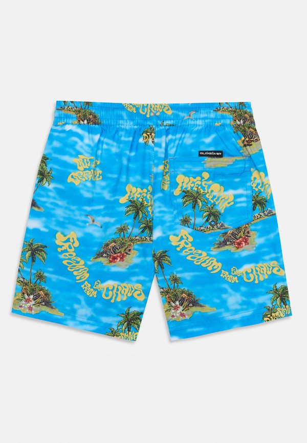 EVERYDAY STRAIGHT VOLLEY - Swimming shorts3