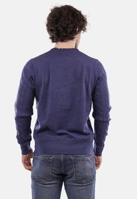 Maglione viola lavorato a maglia con dettagli a trecce sulle maniche, collo a giro e orlo a costine, abbinato a jeans blu denim. Vista posteriore mostrata.