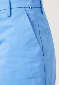Tommy Hilfiger Shorts - blue spell