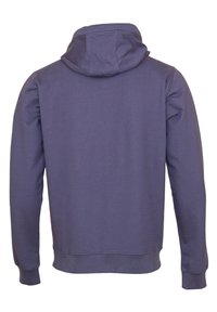 Gray hoodie with a relaxed fit, featuring a drawstring hood and ribbed cuffs and hem. Smooth fabric texture, no visible logos or patterns.