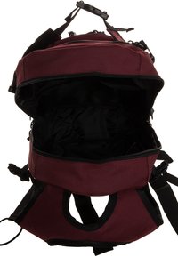 Forvert LOUIS - Zaino - burgundy