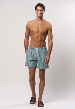 U.S. Polo Assn. BRIGGS - Zwemshorts - mediterranea