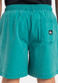 Teal simbyxor med elastisk midja, bakficka med en logopatch och ett mjukt, texturerat tyg.