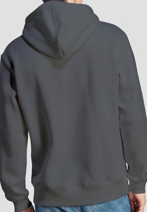 Ford, FORD FOMOCO - Kapuzenpullover - anthracite