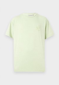 Camiseta de algodón verde claro que presenta un corte relajado, mangas cortas y un pequeño diseño bordado en el lado izquierdo del pecho.