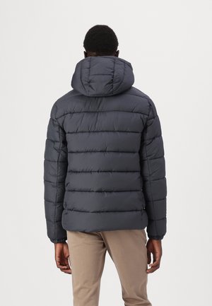 BORIS - Chaqueta de invierno - grey