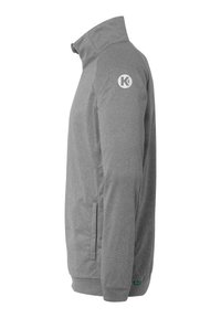Gray zip-up jacket with a high collar, featuring a white logo on the left shoulder, side pockets, and ribbed cuffs at the hem.