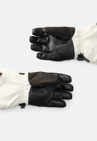 The North Face MONTANA SKI GLOVE - Pirštinės - white dune