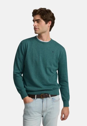 SUETER - Jersey de punto - verde