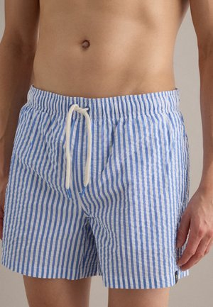 Uomo che indossa pantaloncini da bagno a righe verticali blu e bianche con coulisse bianca, mostrato dalla vita a metà coscia.