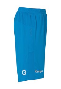 Blaue Sportshorts aus leichtem Stoff. Mit einem strukturierten Bund, seitlichen Einsätzen und einem weißen Logodesign.