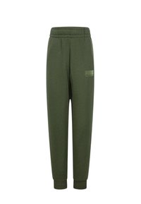 Pantaloni della tuta verdi con vita e polsini elastici. Presenta un piccolo logo sul lato sinistro. Realizzati in tessuto morbido e resistente.