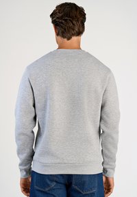Felpa grigia con maniche lunghe, collo tondo e polsini e orlo a coste. Materiale morbido con una texture liscia; senza motivi visibili.