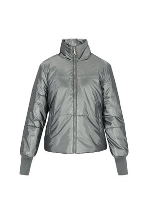 Doudoune grise avec col haut, fermeture éclair à l'avant et poignets côtelés. Le matériau est brillant avec une texture matelassée et un design rembourré.