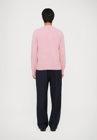 Svijetloruzi pleteni džemper s dugim rukavima, okruglim izrezom i uskim krojem, u kombinaciji s tamnoplavim hlačama s prugama, prikazan s leđa.