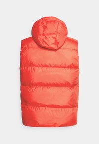 Rote gesteppte Steppweste mit angepasster Kapuze, die gesteppte Abschnitte, glatte Textur und klare Linien zeigt. Rückansicht hebt Isolierung und Form hervor.