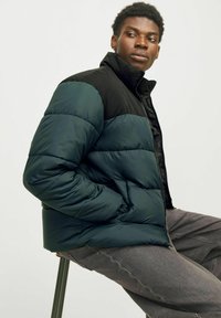 Jack & Jones JJMOON PUFFER - Ziemas jaka - magical forest