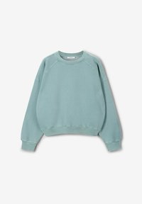 Sweatshirt vert menthe en tissu doux, avec un col rond, des poignets côtelés et une coupe décontractée avec des manches raglan.