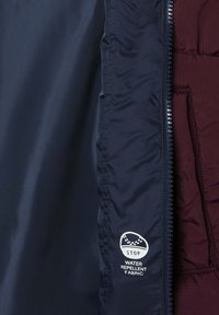 Pepe Jeans CASH - Zimná bunda - compote purple