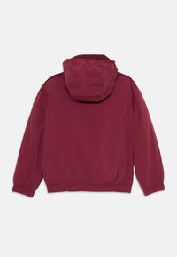 Giacca leggera color bordeaux con cappuccio, polsini e orlo elastici. Superficie liscia con una leggera lucentezza, progettata per un abbigliamento casual.