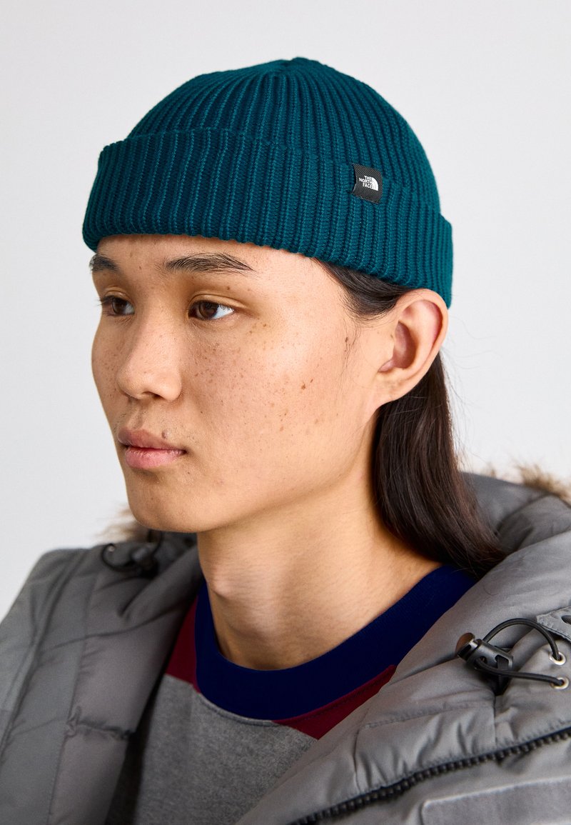 fisherman beanie north face tnf beanie