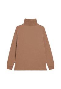 Haut à manches longues en turtleneck marron en tissu doux. Présente un col haut, des épaules tombantes et des poignets et un ourlet côtelés. Design simple.