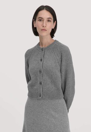 Grijze gebreide cardigan met een ronde hals, knoopsluiting en geribbelde zoom. Bevat raglanmouwen en een zachte textuur.