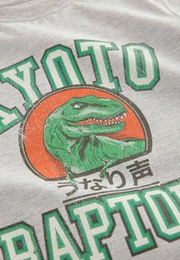 Next SHORT SLEEVE GRAPHIC  REGULAR FIT - Camiseta estampada - grey raptors