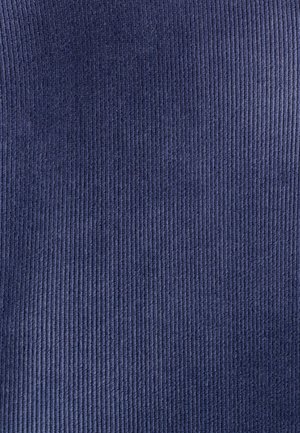 Tessuto di velluto a coste blu navy con righe verticali, caratterizzato da una consistenza morbida e un motivo uniforme, adatto per applicazioni di abbigliamento o tappezzeria.