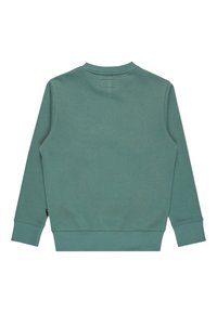 Felpa verde in cotone con maniche lunghe, colletto a girocollo e polsini a coste. Presenta una texture liscia e un design minimale senza loghi visibili.