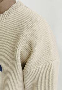 Suéter de punto beige con textura acanalada, cuello redondo y costuras detalladas en los hombros. Sin patrones o acentos visibles.