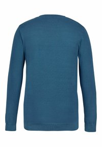 U.S. Polo Assn. UMADAIR - Džemperis - indian teal