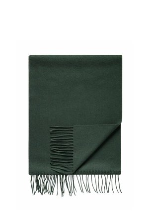 PREMIUM WINTER - Sjal / Tørklæder - green