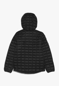 Czarna pikowana kurtka z kapturem, z długimi rękawami, lekką izolacją i subtelnym logo na górnej prawej stronie pleców.
