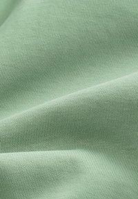 HEAVYWEIGHT - REGULAR FIT - Tricou basic - green sage