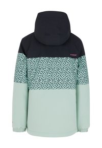 Giacca di un verde acqua chiaro con cappuccio nero e parte superiore a fantasia. Presenta polsini elasticizzati e un logo rosa. Ideale per l'abbigliamento da esterno.