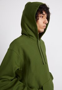 Zielona bluza z kapturem, wykonana z miękkiego materiału, z kieszenią kangurką, kapturem na sznurku oraz ściągaczami na mankietach. Gładka tekstura z minimalnym logo.